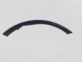 Fender trim (molding)