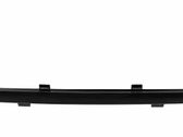 Front bumper lip