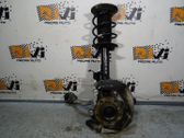 Front wheel hub spindle knuckle