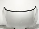 Engine bonnet/hood