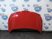 Engine bonnet/hood