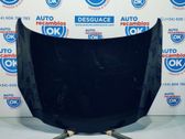 Motorhaube