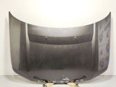 Engine bonnet/hood