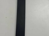 Rear door trim (molding)