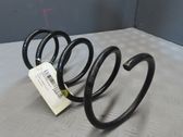 Front coil spring