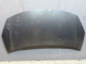 Motorhaube