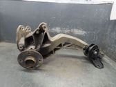 Rear wheel hub