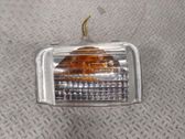 Front fender indicator light