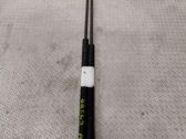 Tailgate/trunk strut/damper