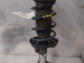 Front shock absorber/damper