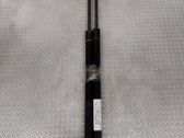 Tailgate/trunk strut/damper
