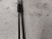 Tailgate/trunk strut/damper