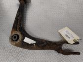 Front lower control arm/wishbone