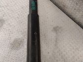 Rear shock absorber/damper