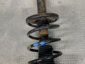 Front shock absorber/damper