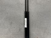 Tailgate/trunk strut/damper