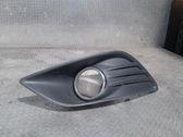 Front fog light trim/grill