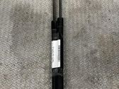 Tailgate/trunk strut/damper