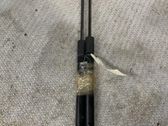 Tailgate/trunk strut/damper