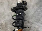 Front shock absorber/damper