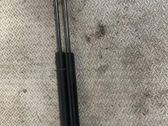 Tailgate/trunk strut/damper