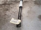 Tailgate/trunk strut/damper