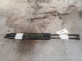 Tailgate/trunk strut/damper