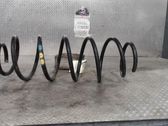 Rear coil spring
