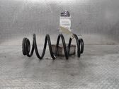 Rear coil spring