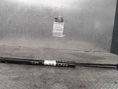 Tailgate/trunk strut/damper