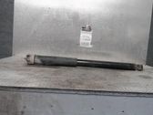 Rear shock absorber/damper