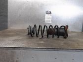 Rear coil spring