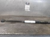 Tailgate/trunk strut/damper