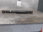 Rear shock absorber/damper