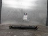 Rear shock absorber/damper