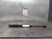 Tailgate/trunk strut/damper