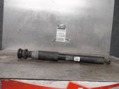 Rear shock absorber/damper