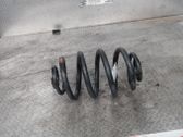 Rear coil spring