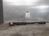 Rear shock absorber/damper