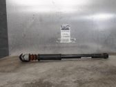 Rear shock absorber/damper
