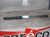 Tailgate/trunk strut/damper