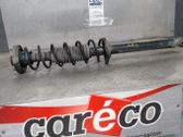 Rear shock absorber/damper