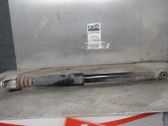 Rear shock absorber/damper