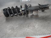 Front shock absorber/damper