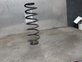 Rear coil spring