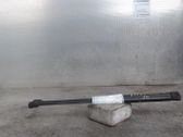Front bonnet/hood damper/strut