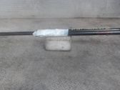 Tailgate/trunk strut/damper