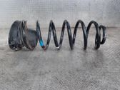 Rear coil spring