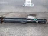 Stoßdämpfer hinten