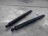 Tailgate/trunk strut/damper
